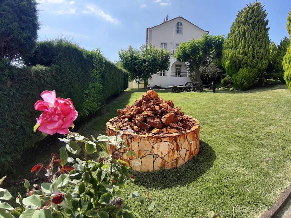 Hotel Quinta Do Viso Miranda do Corvo Zewnętrze zdjęcie